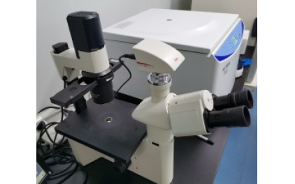 光學(xué)顯微鏡