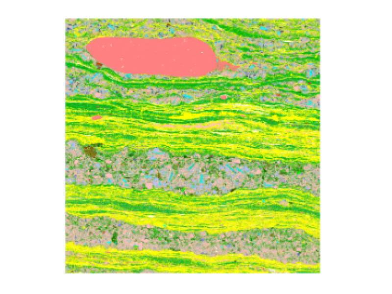 礦物定量分析系統(tǒng)MLA