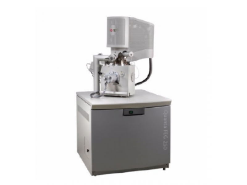 環(huán)境掃描電子顯微鏡