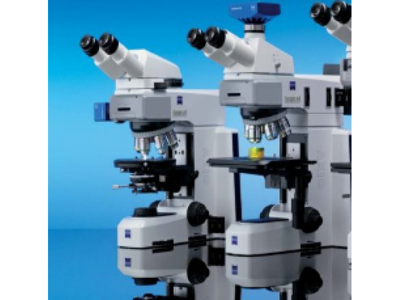 鏡質(zhì)組反射率